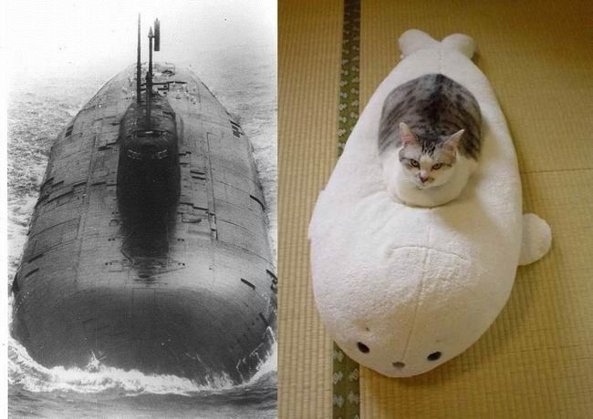 Копия