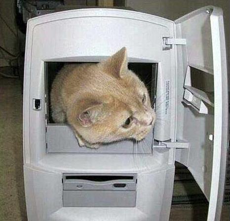 Чё эта у вас тут?