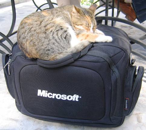 Адепт Microsoft
