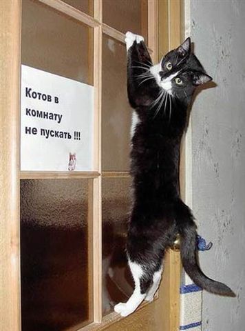 Отважный
