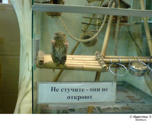 Не стучите