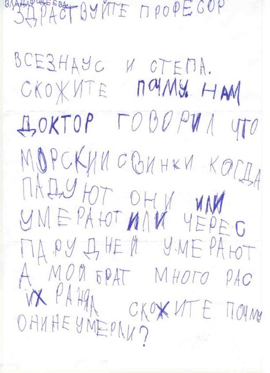 Письмо профессору