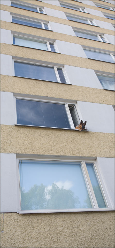 Скучно