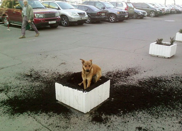 Искатель