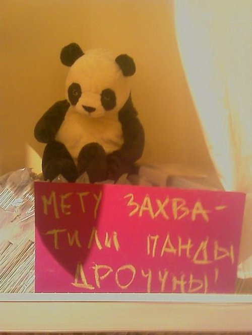 Мега захвачена