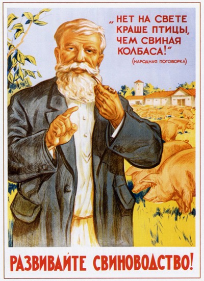 Лучшая птица