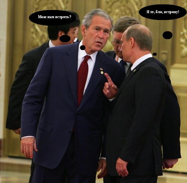 Может, мне встрять?...