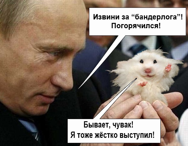 Хомяк