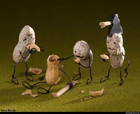 Zombies are nuts about brains.