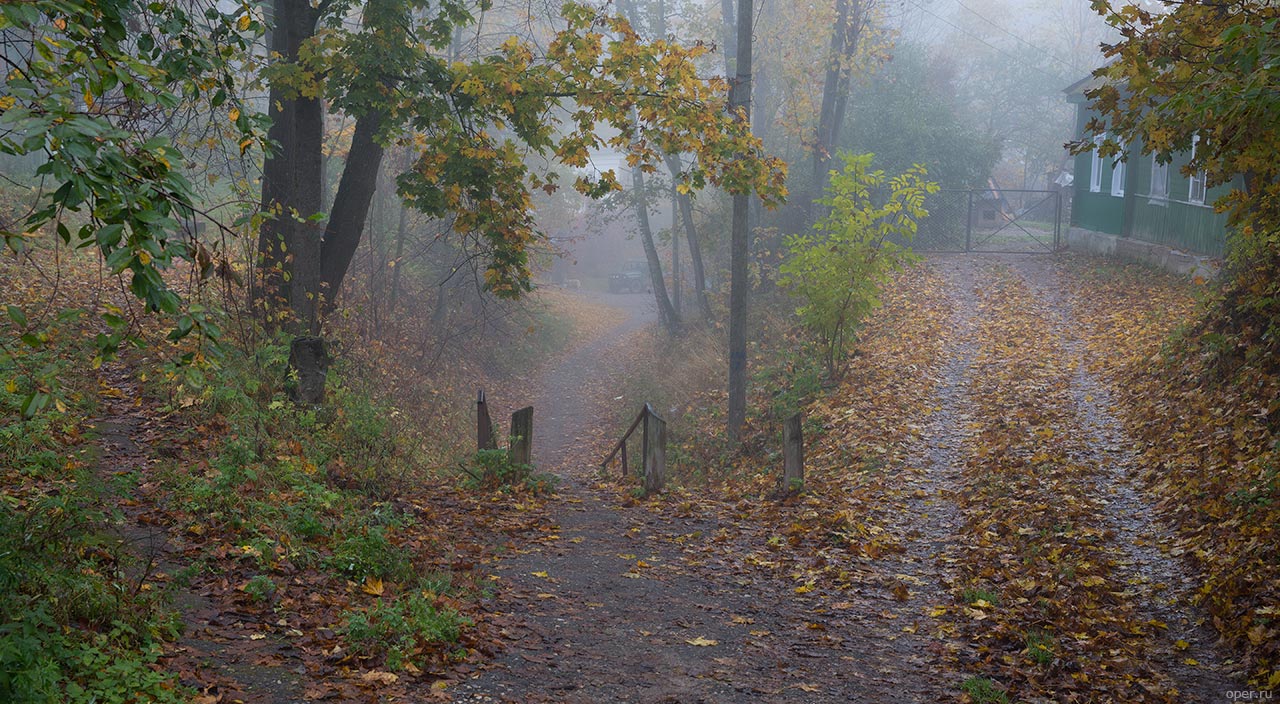 Туманное утро