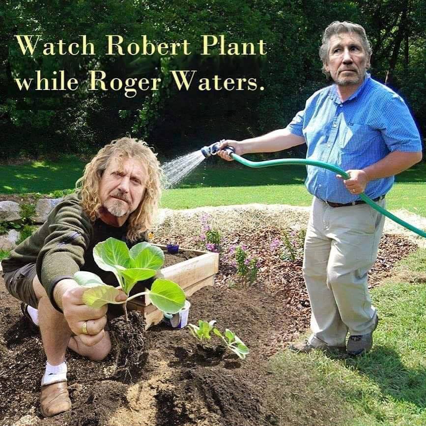 Robert Plant & Roger Waters