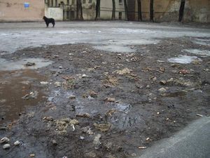 Весна покажет, кто где срал