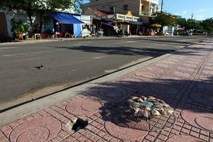 Сушка рыбы на тротуаре