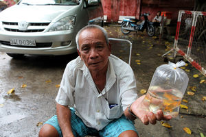Купите рыбок!