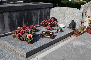 Каменные цветы