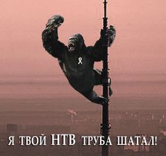 НТВ