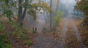 Туманное утро
