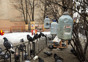 Птички