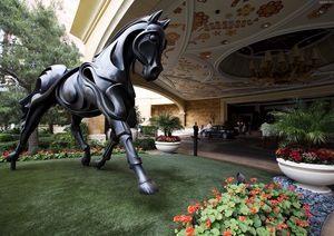 Отель Wynn